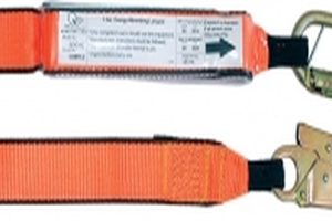 carabiner single leg lanyard